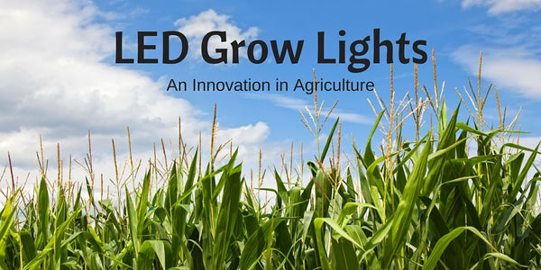 LED IN AGRICULTURE - GREENHOUSES