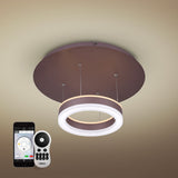 Europa VHP26510ORB 11” WiFi-Enabled ETL Certified Tunable Color-Changing LED Pendant Ceiling Fixture